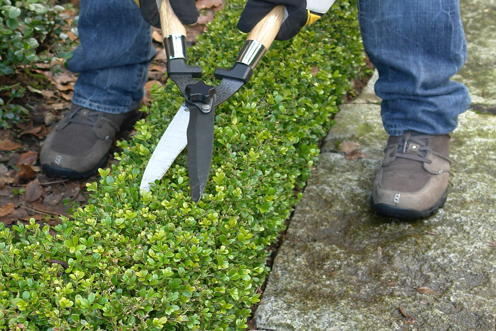 Professional Gardeners and Landscapers