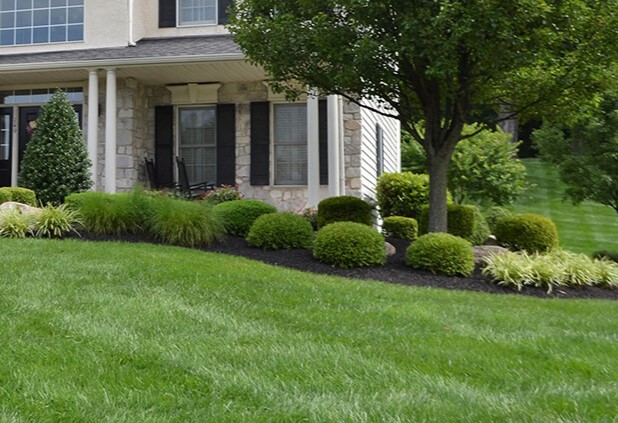 Annandale Virginia Lawn Care