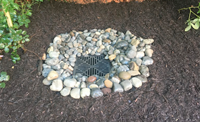 Drainage Solutions Lawn Drain