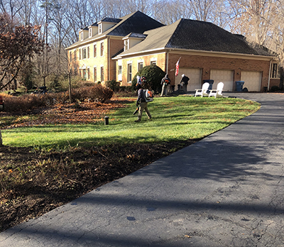 Leaf Removal and Hauling