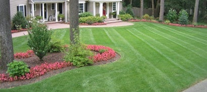 Landscaping Mowing Edging Line Trim