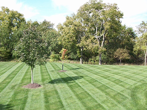Ricky S Lawn And Landscape Northern, D&M Landscaping