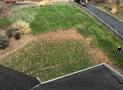 Leaf Removal Raking Leaves