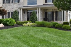 Lawn-Maintenance-Fertilizing