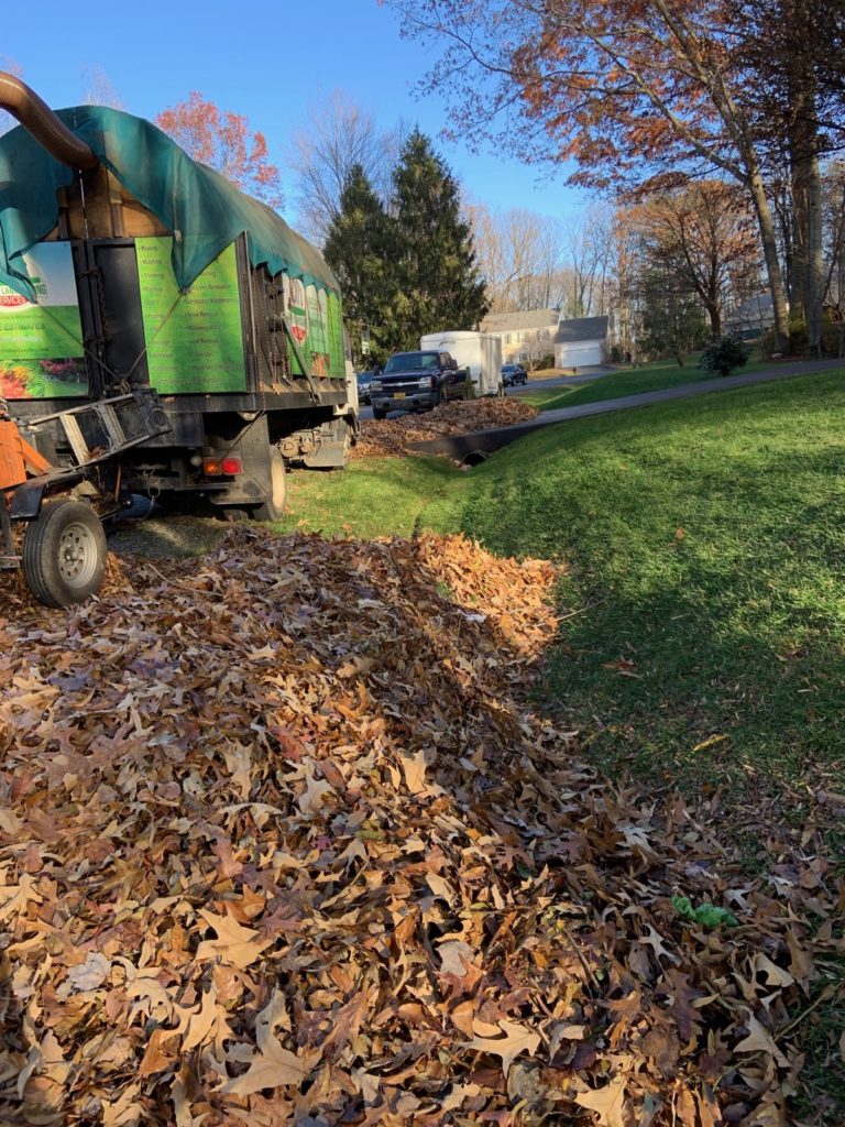 Curbside Leaf Removal Service Ricky's Lawn Landscape Haul leaves